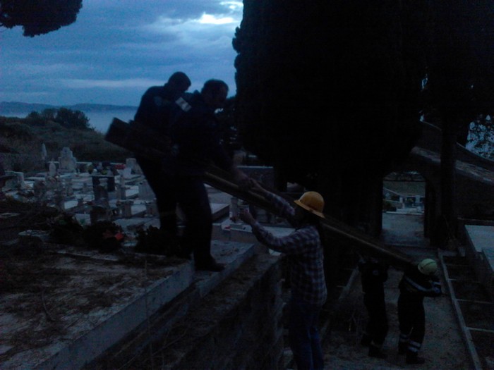 Dvd Komiža-sječa čempresa na gradskom groblju 02.12.2013