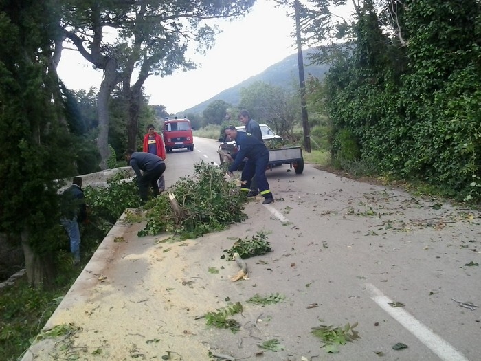 Dvd Komiža - sječa i micanje uništenog stabla u podšpilju - 14.05.2014